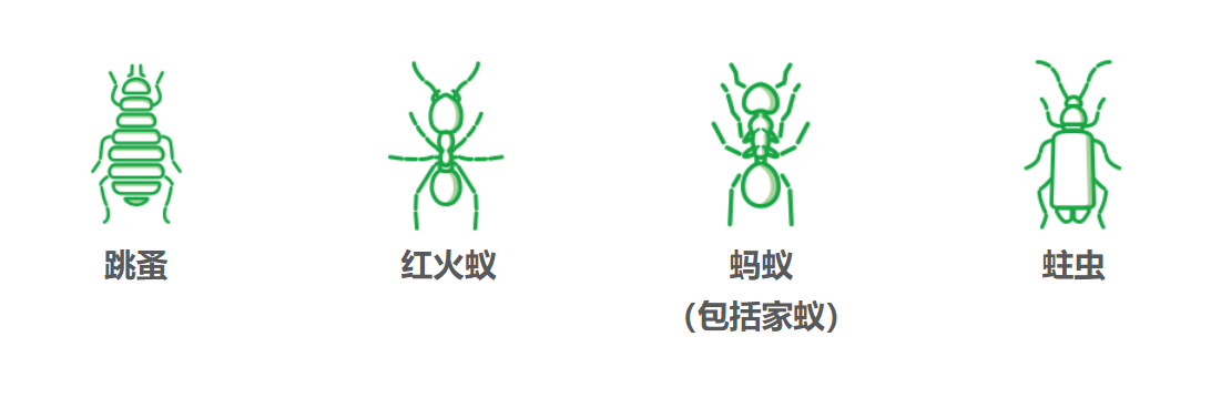 k8·凯发(中国)天生赢家·一触即发_首页9630